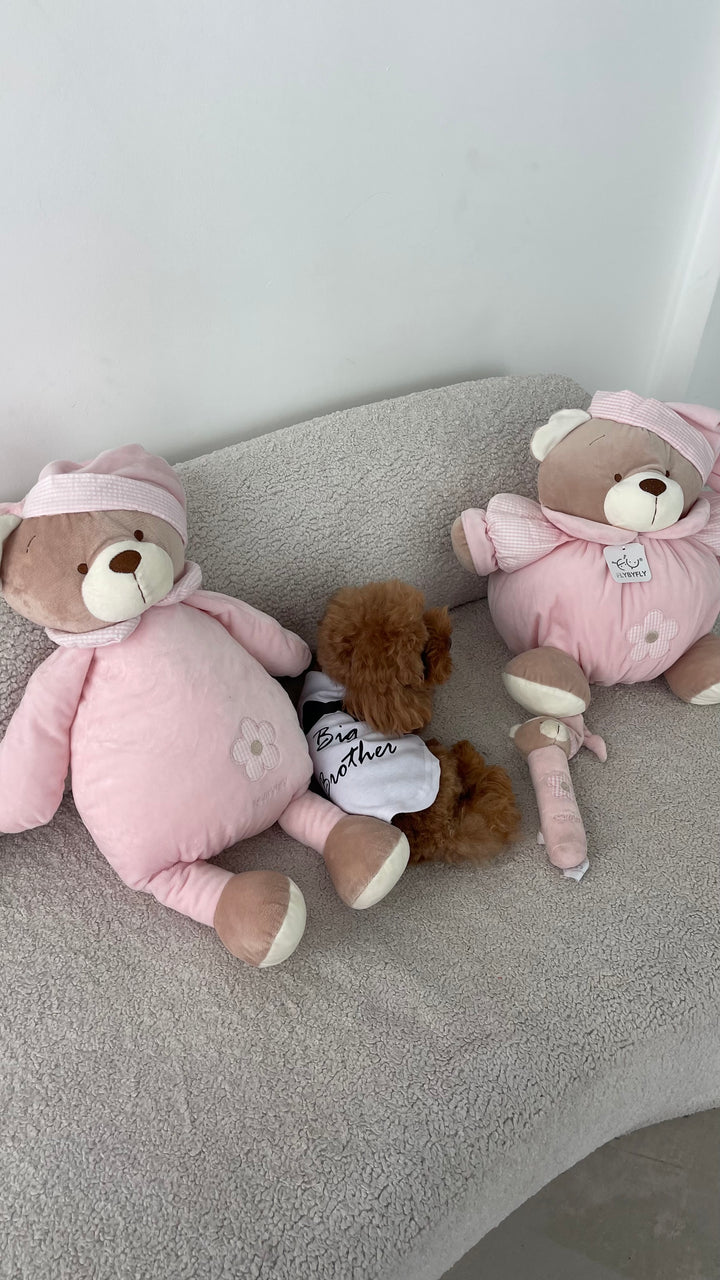 Huggable teddy bear - pink