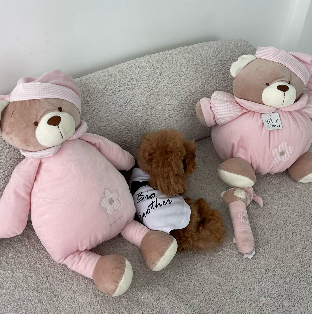 Huggable teddy bear - pink